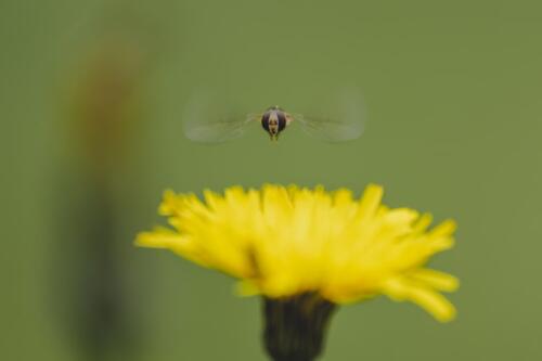 2024 - Clubwedstrijd "Beweging"